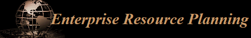 Enterprise Resource Planning