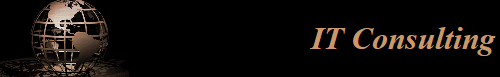 IT Consulting